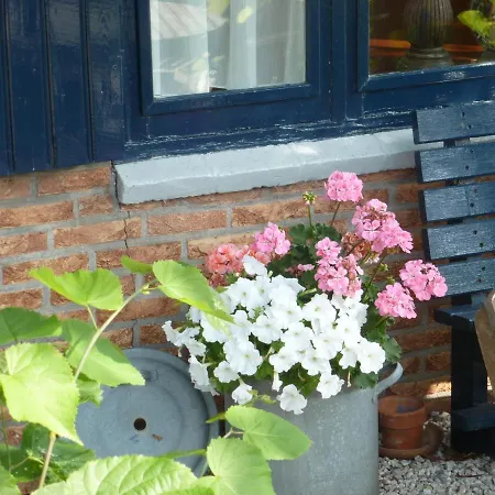 De Roos