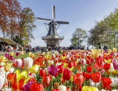 De Roos Dom wakacyjny *
