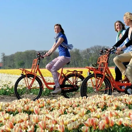 De Roos De Kwakel